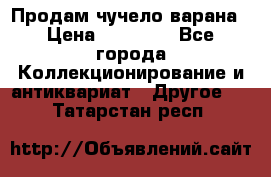 Продам чучело варана › Цена ­ 15 000 - Все города Коллекционирование и антиквариат » Другое   . Татарстан респ.